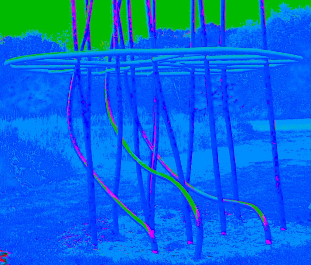 20241007     The Day Off 